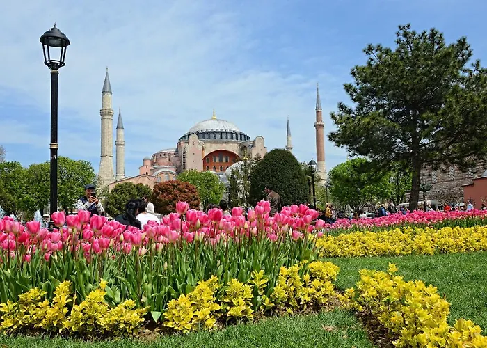 Henna Ξενοδοχείο